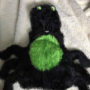 Spider costume 6 Months kola